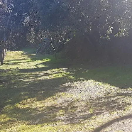 Nou Camping Montsec Àger