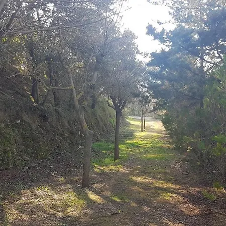 Camping Nou Camping Montsec *
